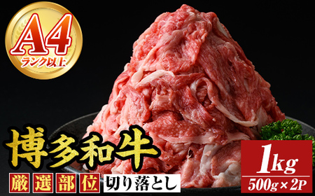 [A4〜A5]博多和牛切り落とし(計1kg・500g×2P) 国産 九州産 福岡県産 牛肉 和牛 黒毛和牛 お肉[MEAT PLUS]as08-060