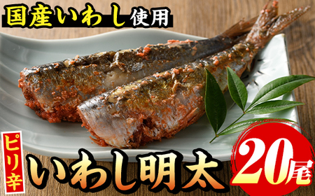 いわし明太 20尾 明太子 イワシ 鰯 いわし[マル五]as06-042