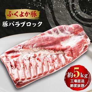 工場直送・鮮度抜群・ダイナミック　【ふくよか豚】豚バラブロック　約5kg【配送不可地域：離島】【1028581】