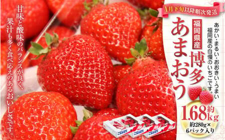 福岡県産 博多あまおう 約1.68kg(約280g×6パック入り)あまおう [2025年1月下旬〜3月下旬発送予定]