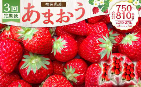 【3回定期便】あまおう 3パック あまおう いちご イチゴ 苺 果物 くだもの フルーツ【2025年1月下旬～3月下旬発送予定】