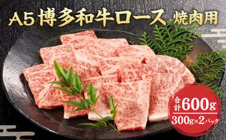 Y A5  a [X ēp 600g(300g×2pbN) Ⓚ