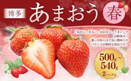 ܂2pbNitj 250g`270g×2pbN v500g`540g ܂   C`S t[c ʕ ́y2026N2{-4{\z