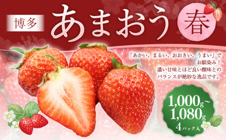 ܂4pbNitj 250g`270g×4pbN v1000g`1080g ܂   C`S t[c ʕ ́y2026N2{-4{\z