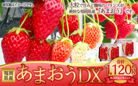 ܂DX 280g×4pbN v1120g fbNX   ʕ  t[c y2026N2{`4{\z