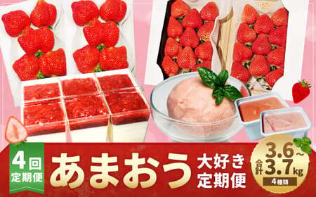[予約受付・4回定期便]あまおう大好き定期便 あまおう いちご イチゴ 苺 くだもの 果物 フルーツ ジェラート レアチーズケーキ デザート スイーツ[2026年2月上旬〜7月下旬発送予定]