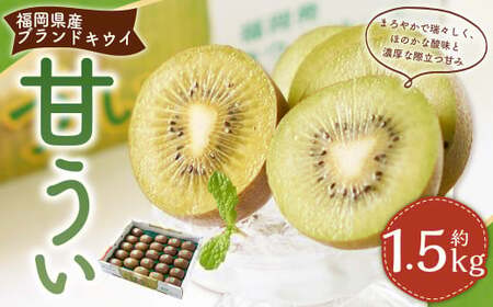YuhLECEÂ 1.5kg i12-15ʁj LEC LECt[c ʕ  t[c 퉷 Y _ y2025N10{`12{\z