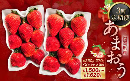 y3ցz܂2pbN×3񔭑 ܂  C`S  ʕ  t[cy2026N2{`4{\z