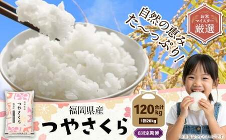 �y6��������ցz�������Y�₳���� 20kg ���_�� �ӂ邳�Ɣ[�ŕԗ�i ���� ���� ���� ���� ���͂� ���Y �����