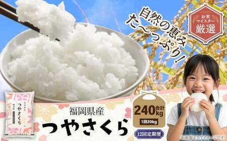 �y12��������ցz�������Y�₳���� 20kg ���_�� �ӂ邳�Ɣ[�ŕԗ�i ���� ���� ���� ���� ���͂� ���Y �����