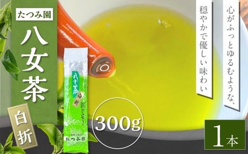 八女茶 たつみ園白折 300g 1本 お茶 緑茶 国産 福岡県産 茶葉