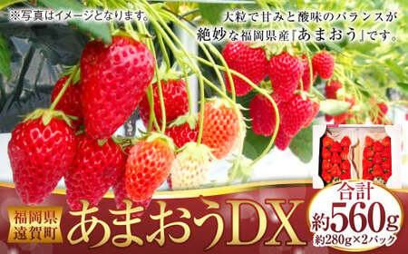 あまおうDX 約280g×2パック あまおう いちご イチゴ 苺 果物 くだもの フルーツ [2025年2月上旬〜4月上旬発送予定]