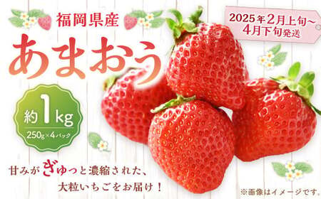 福岡県産 あまおう 1000g(250g × 4パック) 苺 イチゴ いちご 大粒 果物 フルーツ 福岡 福岡県 [2025年2月上旬〜4月下旬発送予定]