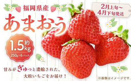 福岡県産 あまおう 1500g (250g×6パック) 苺 イチゴ いちご 大粒 果物 フルーツ 福岡 福岡県[2025年2月上旬〜4月下旬発送予定]