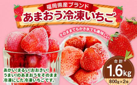 福岡県産 ブランド[あまおう]冷凍いちご 1600g 冷凍フルーツ 苺 イチゴ あまおう