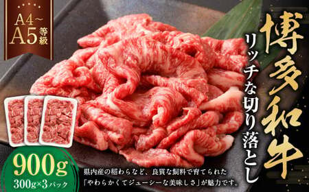 yA4EA5za b`Ȑ؂藎Ƃ 300g×3 v900g   a ؂藎Ƃ ؂藎Ƃ  Y  B