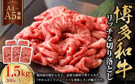 yA4EA5za b`Ȑ؂藎Ƃ 300g×5 v1500g   a ؂藎Ƃ ؂藎Ƃ  Y  B