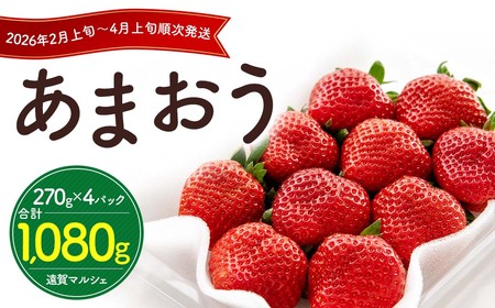 ʌ Y ܂ 270g×4pbNy2026N2{`4{\z