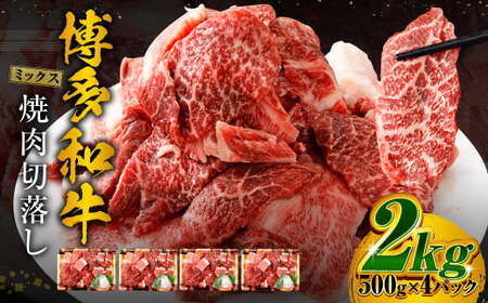 a ē ؗ ~bNX 500g×4pbN v2kg     Ef o ؂藎Ƃ