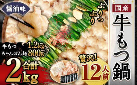 【2026年2月発送】国産 牛もつ鍋 12人前 ちゃんぽん 濃縮スープ付（醤油味）