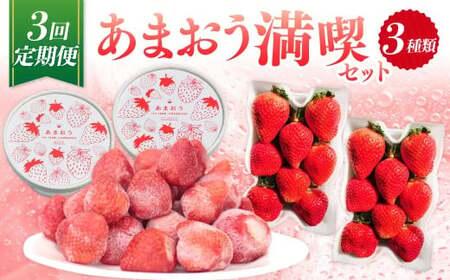 [予約受付・3回定期便] あまおう満喫セット [2026年3月上旬〜8月発送予定] (フレッシュあまおう / 冷凍 / ジェラート) 苺 イチゴ いちご ジェラート フルーツ 果物 くだもの セット お取り寄せ ギフト プレゼント おすすめ 定期便 国産 冷凍