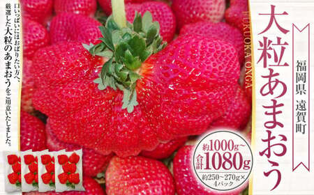 嗱܂ 4pbN v1000`1080g ܂  C`S  ʕ  t[cy2026N2{`4{\z