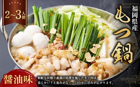 もつ鍋・醤油味 2〜3人前 もつ鍋 お鍋 セット 醤油味 ご褒美 食事 冷凍 福岡県 遠賀町