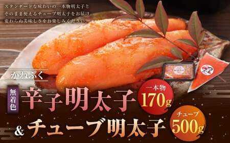 ���˂ӂ� �������F�� �h�q�����q 170g �i��{���j�ƃ`���[�u�����q 500g�Z�b�g 2��ލ��v670g �^ �����q �߂񂽂��� �����Ƃ����� ���� �`���[�u ���� �g���₷��