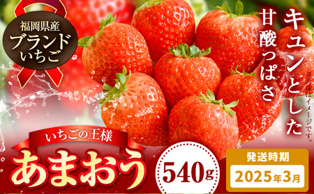 いちご あまおう 先行予約 いちご 大量 540g 選べる発送時期 定期便 フルーツ[2025年3月発送]苺 旬 くだもの 果物 福岡県 小竹町