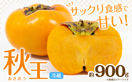 秋王 約900g[11月上旬-11月末頃出荷]福岡県 鞍手郡 小竹町 柿 かき カキ 種なし 種無し 福岡県産 果物 くだもの フルーツ