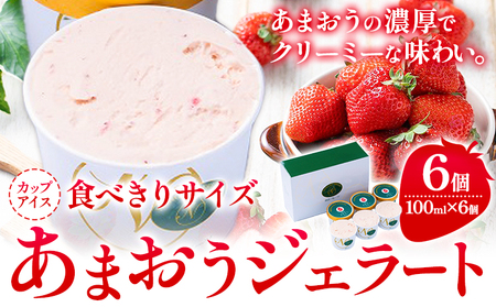 あまおうジェラート 100ml×6個 南国フルーツ株式会社《30日以内に出荷予定(土日祝除く)》福岡県 小竹町 あまおう いちご ジェラート 果物 送料無料