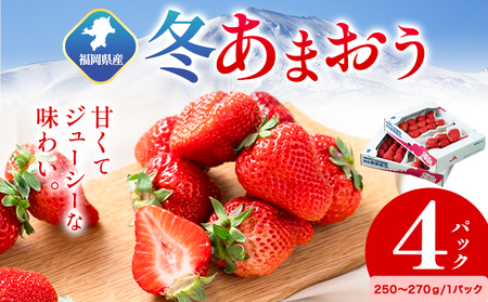 福岡県産 冬あまおう 4パック 南国フルーツ株式会社[12月上旬-1月末頃出荷]福岡県 小竹町 あまおう いちご イチゴ 送料無料[配送不可地域あり]