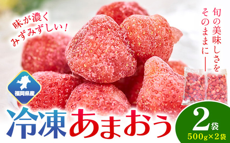 福岡県産 冷凍あまおう1kg(500g×2袋) 南国フルーツ株式会社[12月中旬-3月末頃出荷(土日祝除く)]福岡県 小竹町 あまおう いちご イチゴ 送料無料[配送不可地域あり]