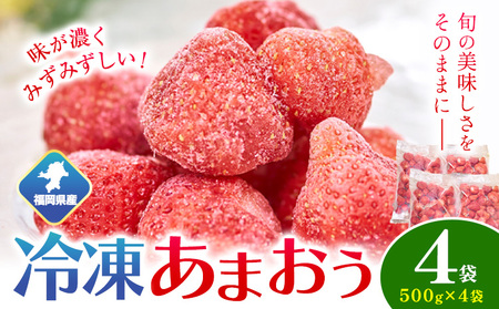 y2026NxoׁzY Ⓚ܂2kg(500g×4) 썑t[cЁs12{-3o(yj)t | ܂  C`S yzsn悠z