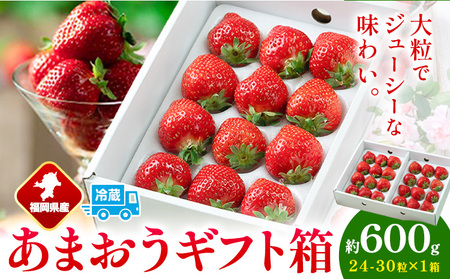 福岡県産 あまおう ギフト箱 約600g 南国フルーツ株式会社《12月上旬-3月末頃出荷》福岡県 小竹町 あまおう いちご イチゴ 送料無料【配送不可地域あり】