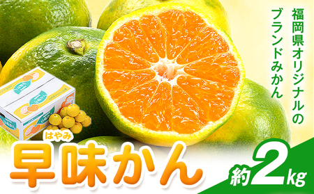 ݂  2kg 썑t[cЁy26Nxoׁzs9{-9{oׁt | Y ݂  t[c ʕ