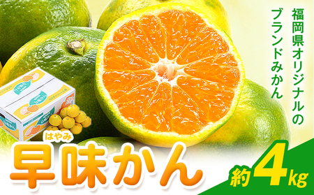 ݂  4kg 썑t[cЁy26Nxoׁzs9{-9{oׁt | Y ݂  t[c ʕ