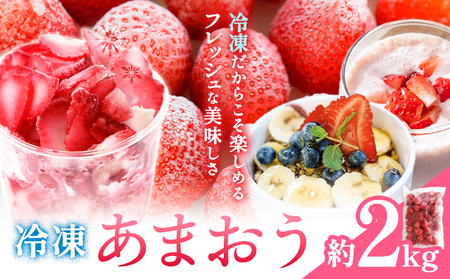 冷凍 あまおう 約2kg [90日以内に出荷予定(土日祝除く)]福岡県 鞍手郡 小竹町 いちご あまおう フルーツ 果物 冷凍