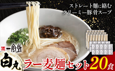 ラーメン 一風堂 白丸 ラー麦麺 20食 地域商社ふるさぽ《90日以内に出荷予定(土日祝除く)》福岡県 鞍手郡 小竹町 ラーメン とんこつ 豚骨スープ 豚骨ラーメン ラー麦 麺