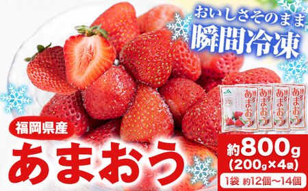 冷凍あまおう 約800g(約200g×4袋) [5月中旬-6月中旬より出荷予定(土日祝除く)]いちご 福岡県