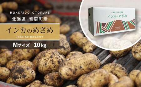 ［先行受付］おとふけ産じゃがいも「インカのめざめ」10kg（Mサイズ）【A36】2025年11月下旬頃より順次発送予定