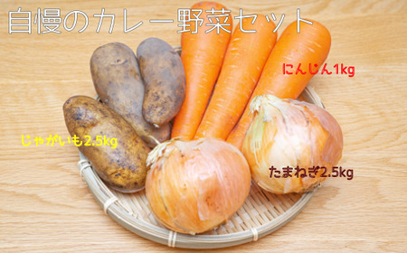 [先行受付]自慢のカレー野菜セット[A63]2025年11月上旬頃より順次発送予定