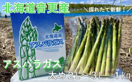 [先行受付]北海道音更産「川野農園」のグリーンアスパラ1kg(太め2L〜3L)[A66][2026年5月中旬〜6月上旬発送予定]