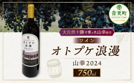 C IgvPQRK2024 750ml×1{ yA130z