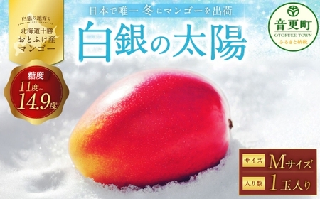 [ 先行受付 ] おとふけ産マンゴー 「 白銀の太陽 」 Mサイズ × 1玉 [ A132 ] [2026年11月上旬より発送開始予定]