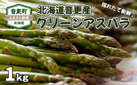 [先行受付] おとふけ産グリーンアスパラ 1kg [A133] 2026年5月中旬頃より順次発送