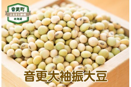 ［先行受付］令和6年産 音更大袖振大豆500g「JAおとふけ」【B38】＜2024年12月下旬より順次発送＞