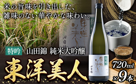 日本酒 東洋美人 特吟 山田錦 純米大吟醸 9本 計6480ml 1本あたり 720ml 福岡吟醸倶楽部株式会社《30日以内に出荷予定(土日祝除く)》福岡県 鞍手郡 鞍手町 酒 冷酒 送料無料
