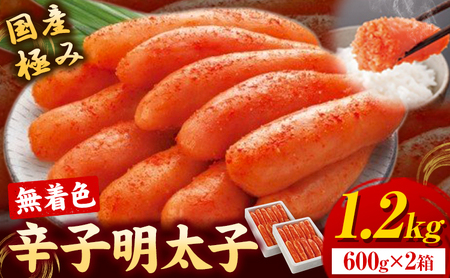 辛子明太子 国産 極み 無着色辛子明太子 1.2kg ( 600g × 2箱 ) 株式会社海千[90日以内に発送予定(土日祝除く)]福岡県 めんたいこ ご飯のお供