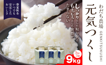 yߘa7NxYzC 9kg 13kg 킾_s30ȓɏoח\(yj)t ƎS Ǝ蒬  R C  炵i 